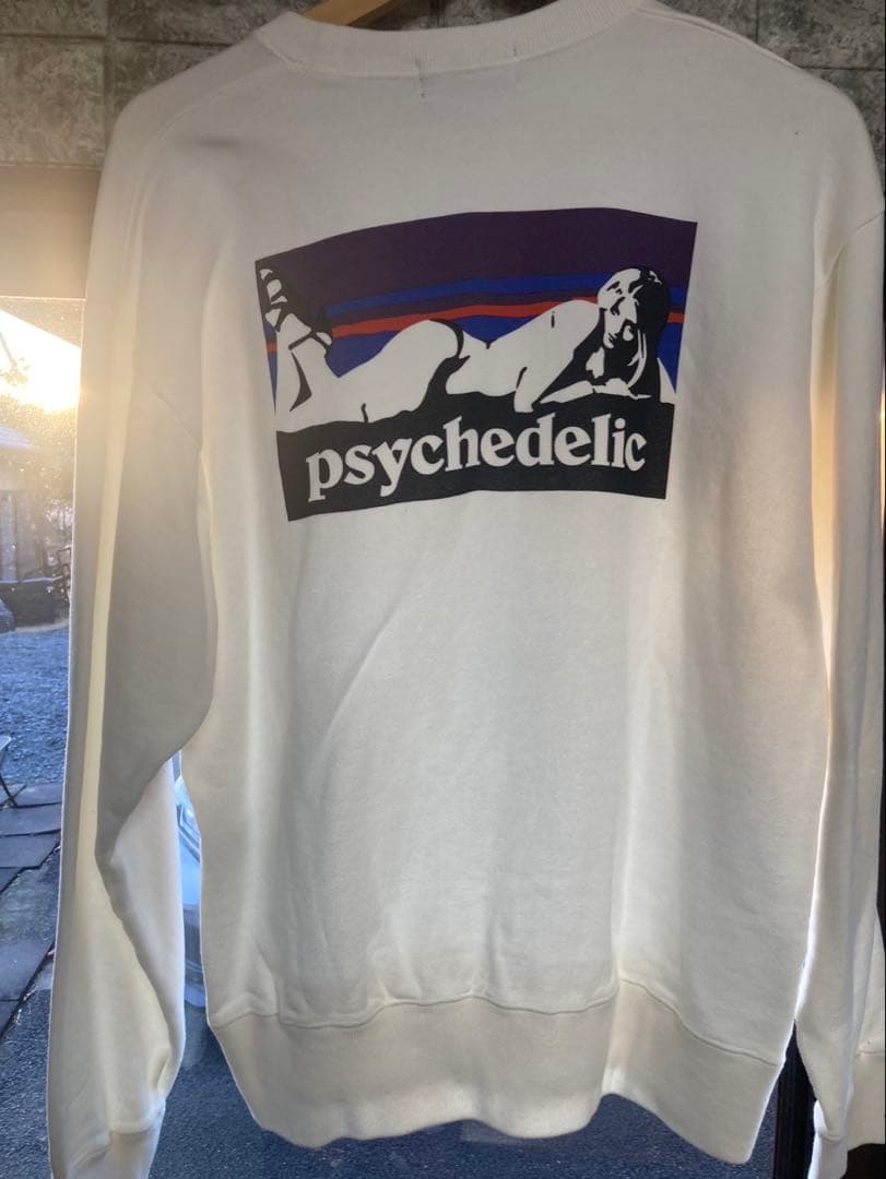 【希少・即完売】ヒステリックグラマーパタゴニア風バックロゴ入りスウェット L