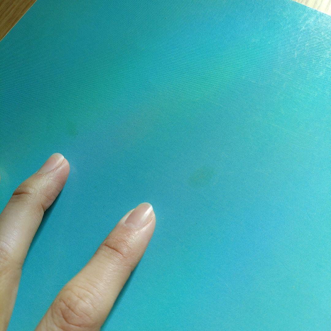 洋書 Oliver & Company: The More the Merrier