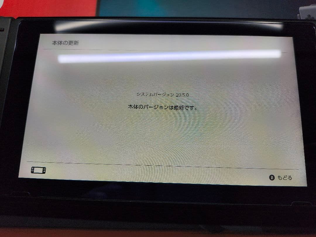 NINTENDO SWITCH本体(グレー) 完動品・付属品完備＋ソフト2本