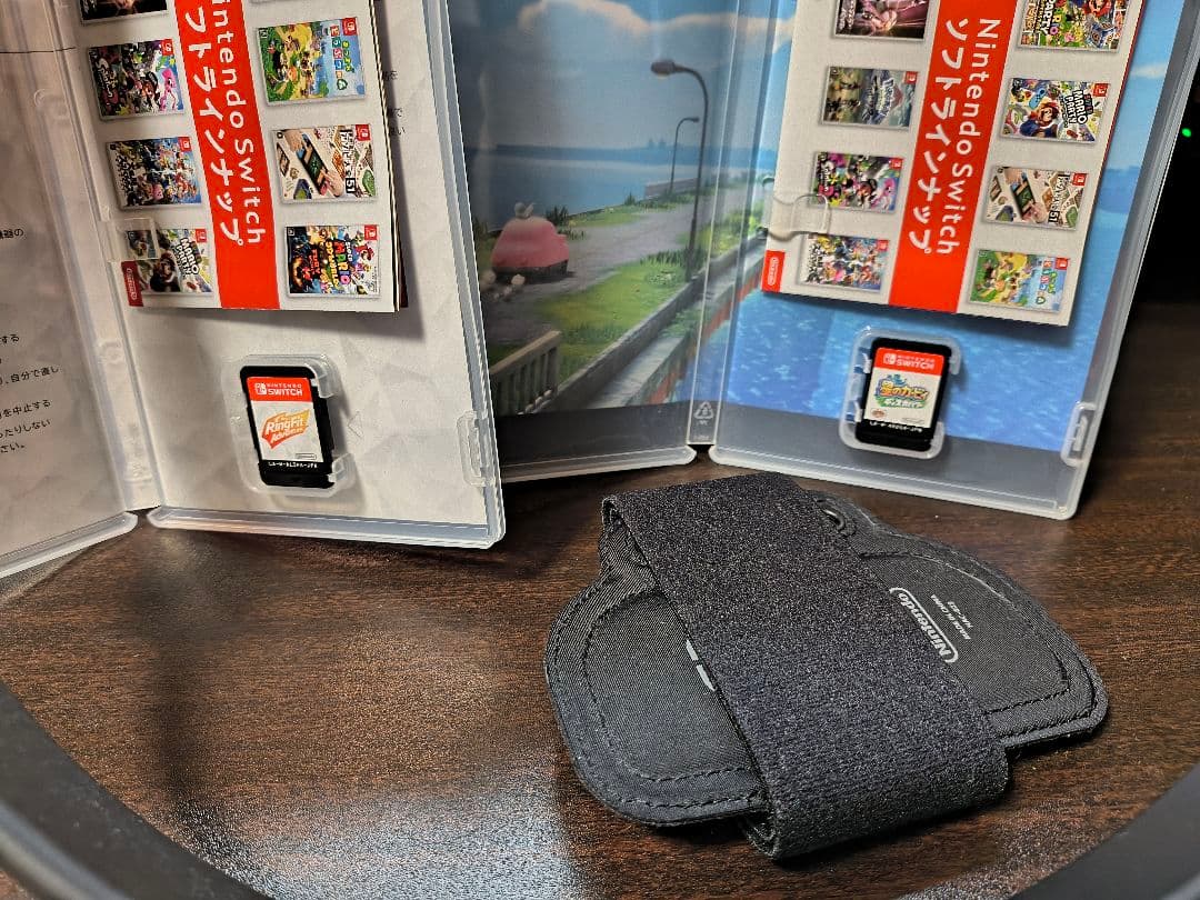 NINTENDO SWITCH本体(グレー) 完動品・付属品完備＋ソフト2本