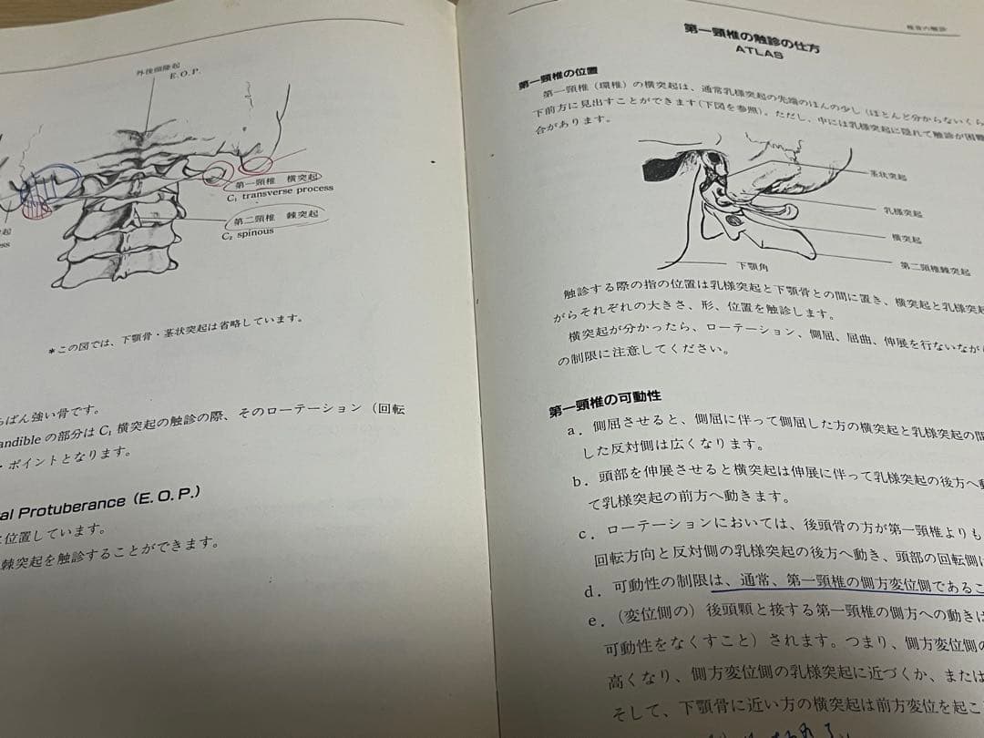 【極レア】上部頚椎カイロプラクティック - 哲学・科学・芸術【初版】