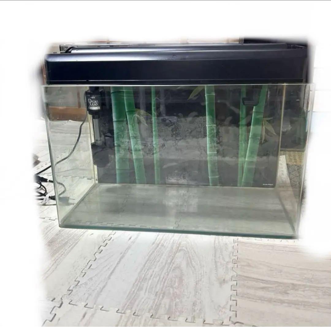 専用　⚫︎GEX ガラス水槽 セット　フィルター バラ売り可