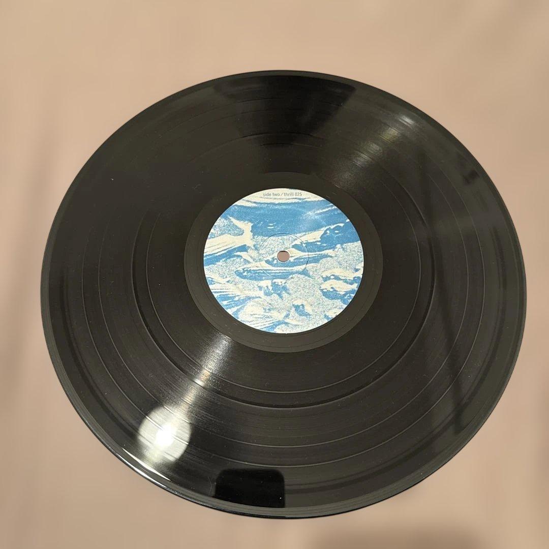 Tortoise millions now living will never…