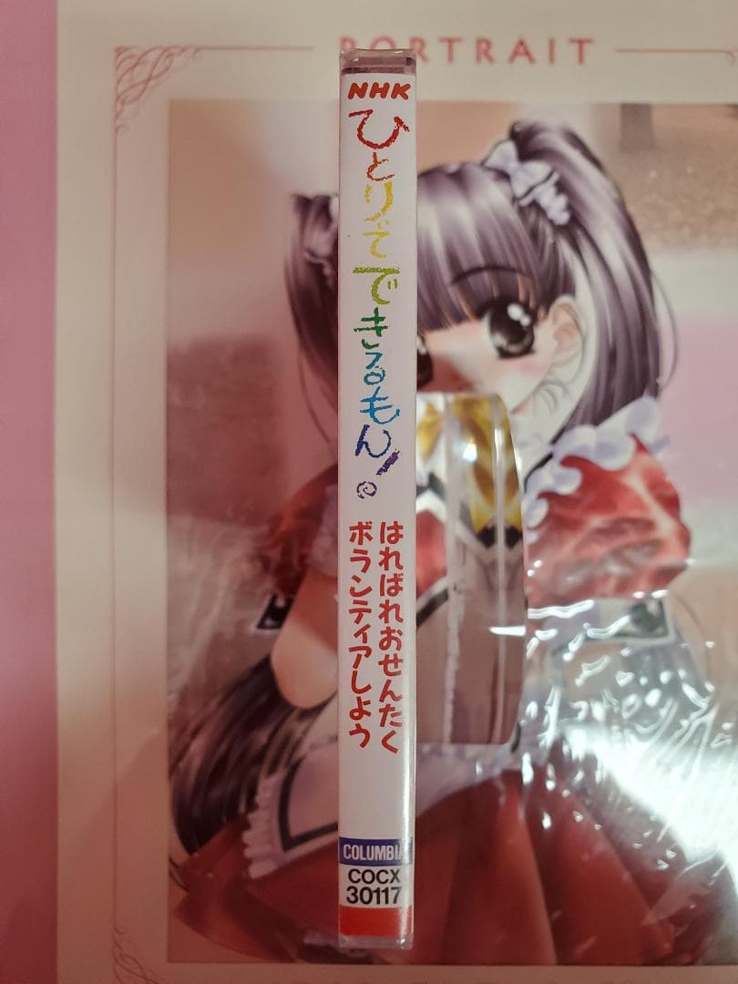 ひとりでできるもん！　はればれおせんたく　ボランティアしよう　NHK