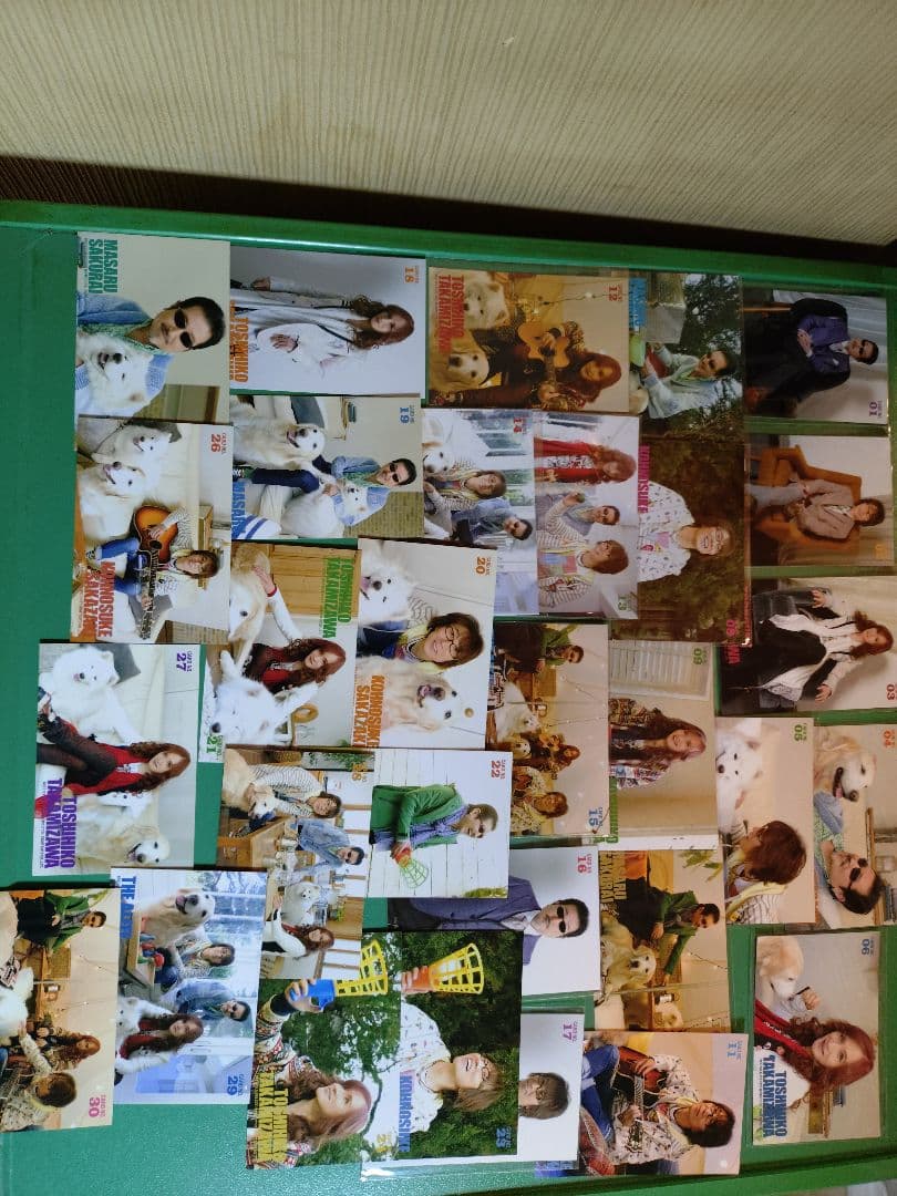 THEALFEE 2021年春の夢のつづきトレカ30枚セット