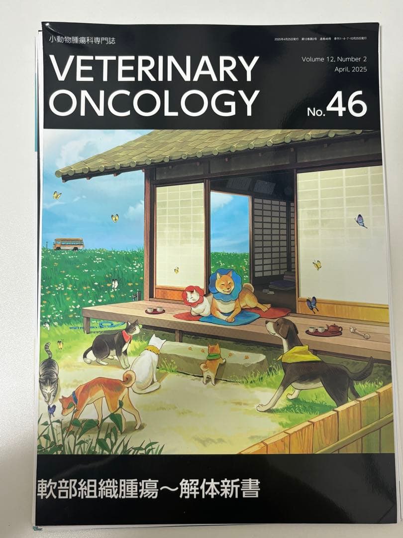 【裁断済み】VETERINARY ONCOLOGY No.43 44 46 47