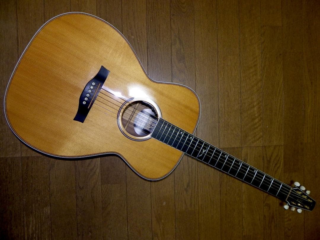 お値引き/シーガルArtist Studio EQエレアコ、LR Baggs装備