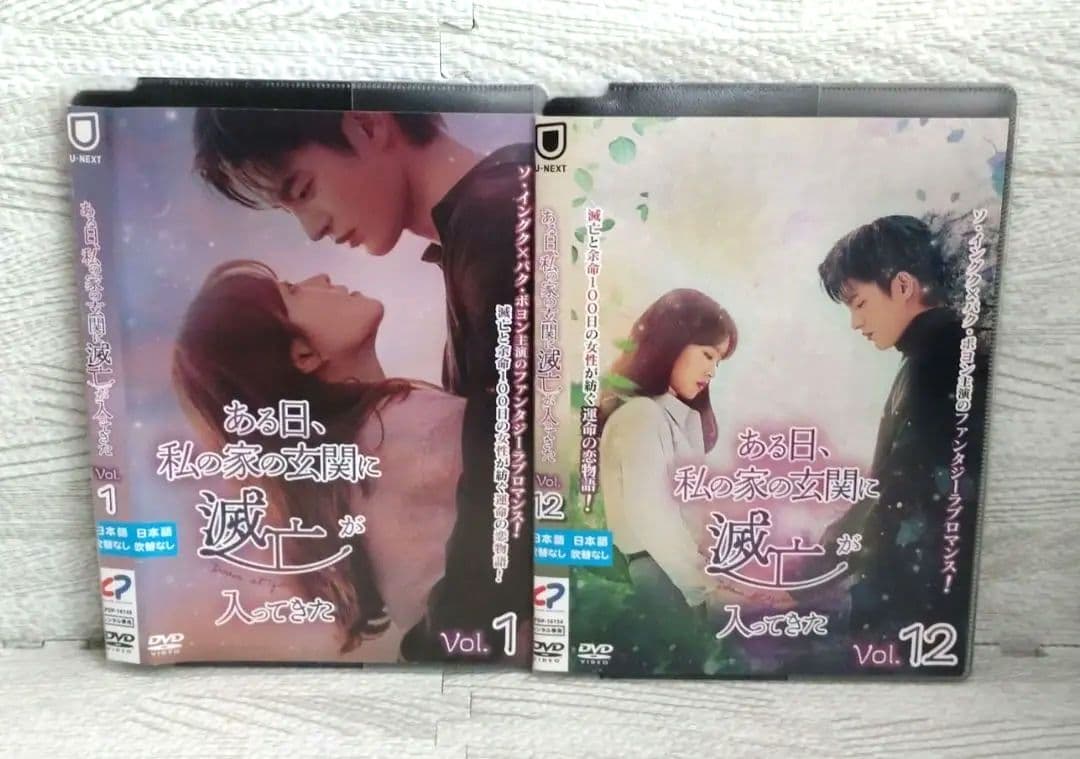 ある日、私の家の玄関に滅亡が入ってきた 全12巻 DVD 韓国ドラマ ソイングク