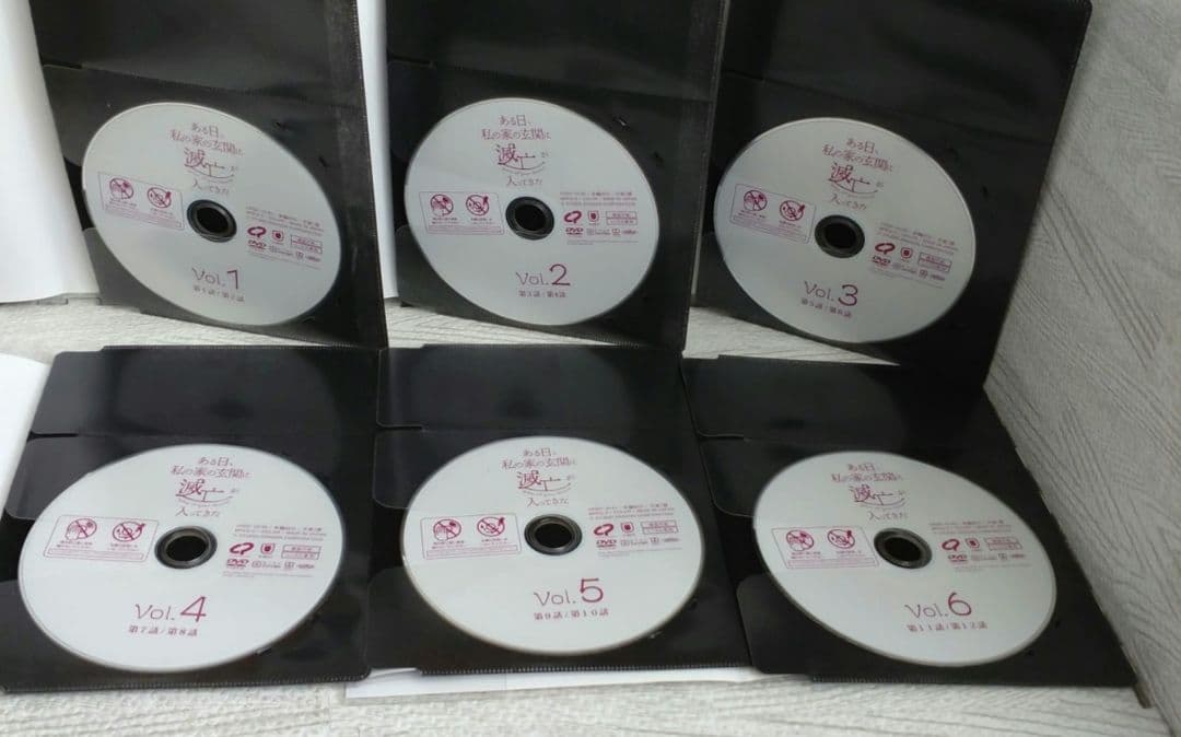 ある日、私の家の玄関に滅亡が入ってきた 全12巻 DVD 韓国ドラマ ソイングク