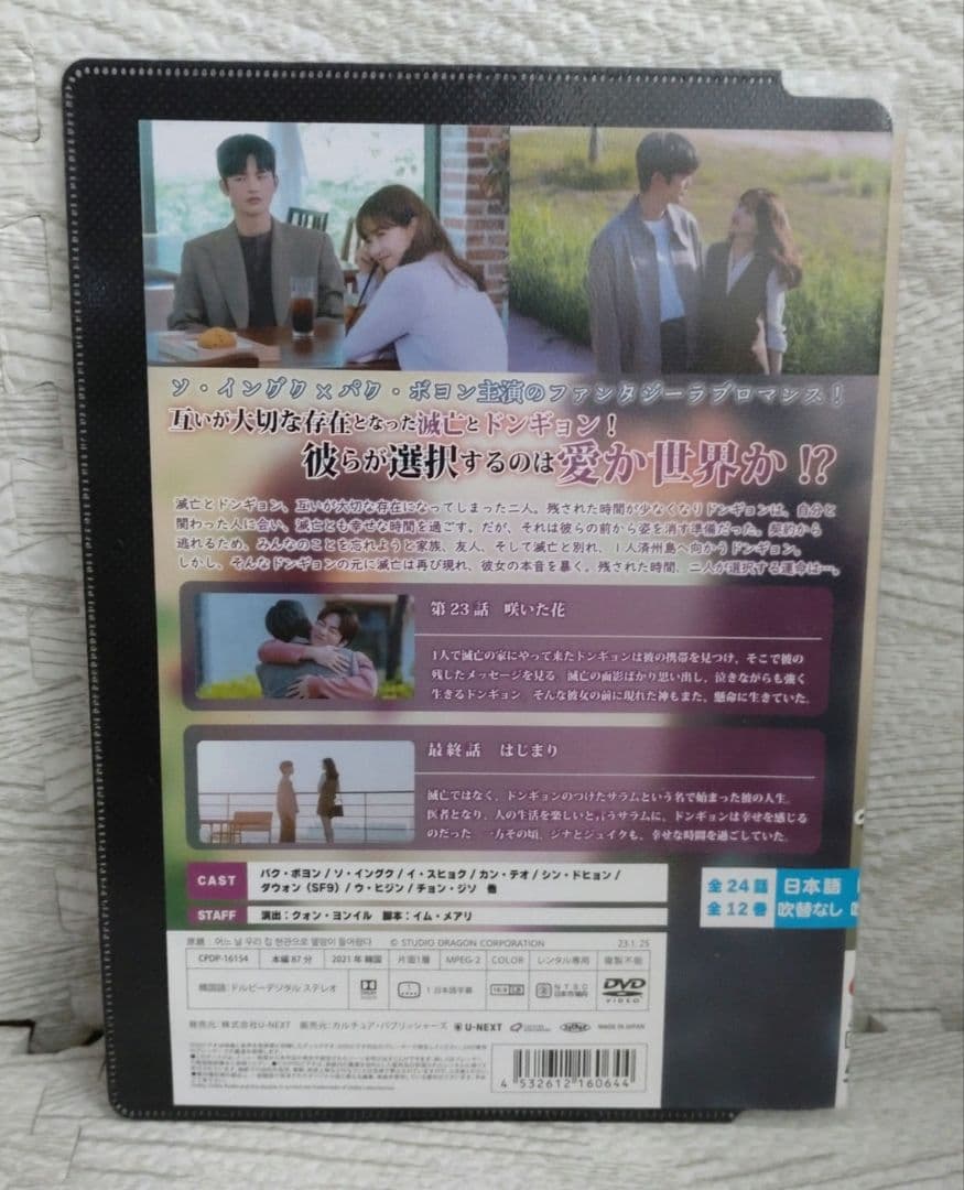 ある日、私の家の玄関に滅亡が入ってきた 全12巻 DVD 韓国ドラマ ソイングク