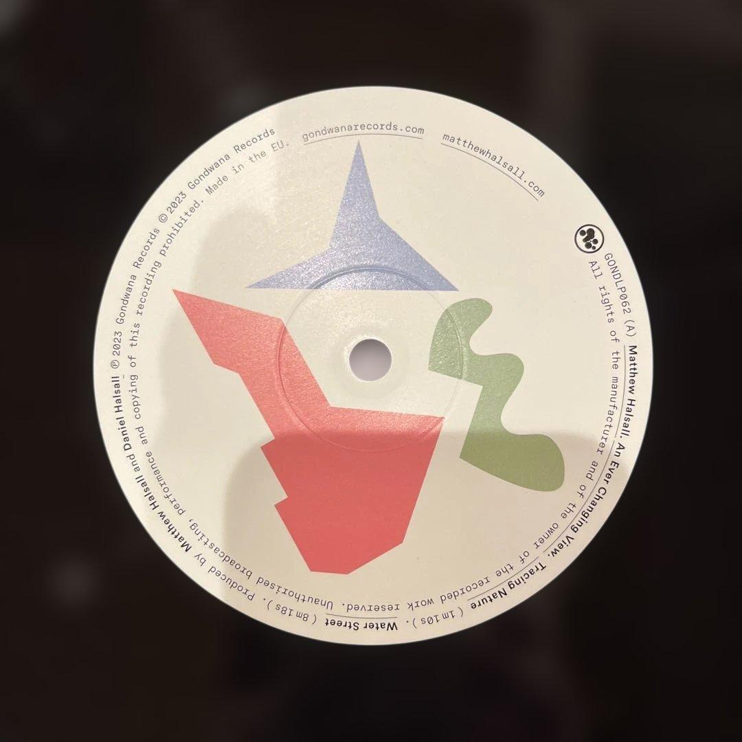 洋楽 Matthew Halsall An Ever Changing View