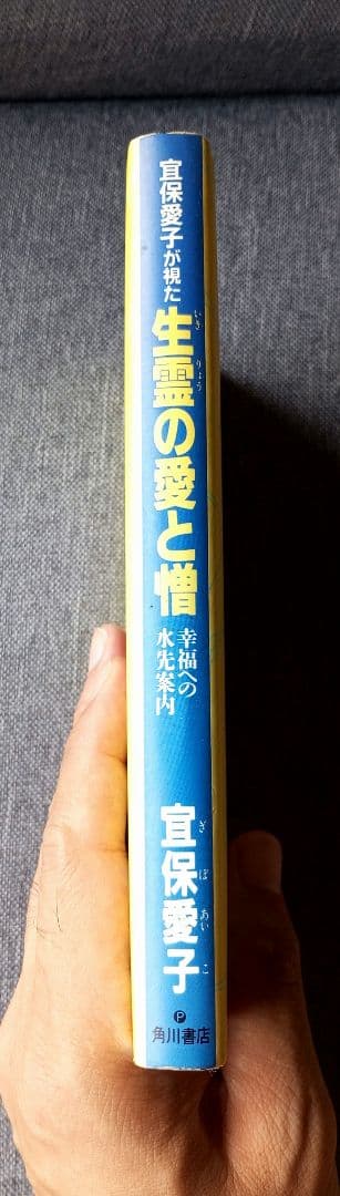 宜保愛子が視た 生霊の愛と憎 幸福への水先案内