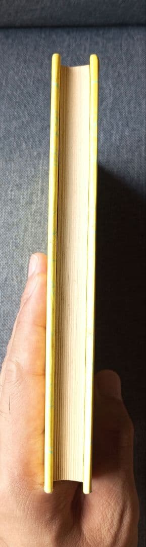 宜保愛子が視た 生霊の愛と憎 幸福への水先案内