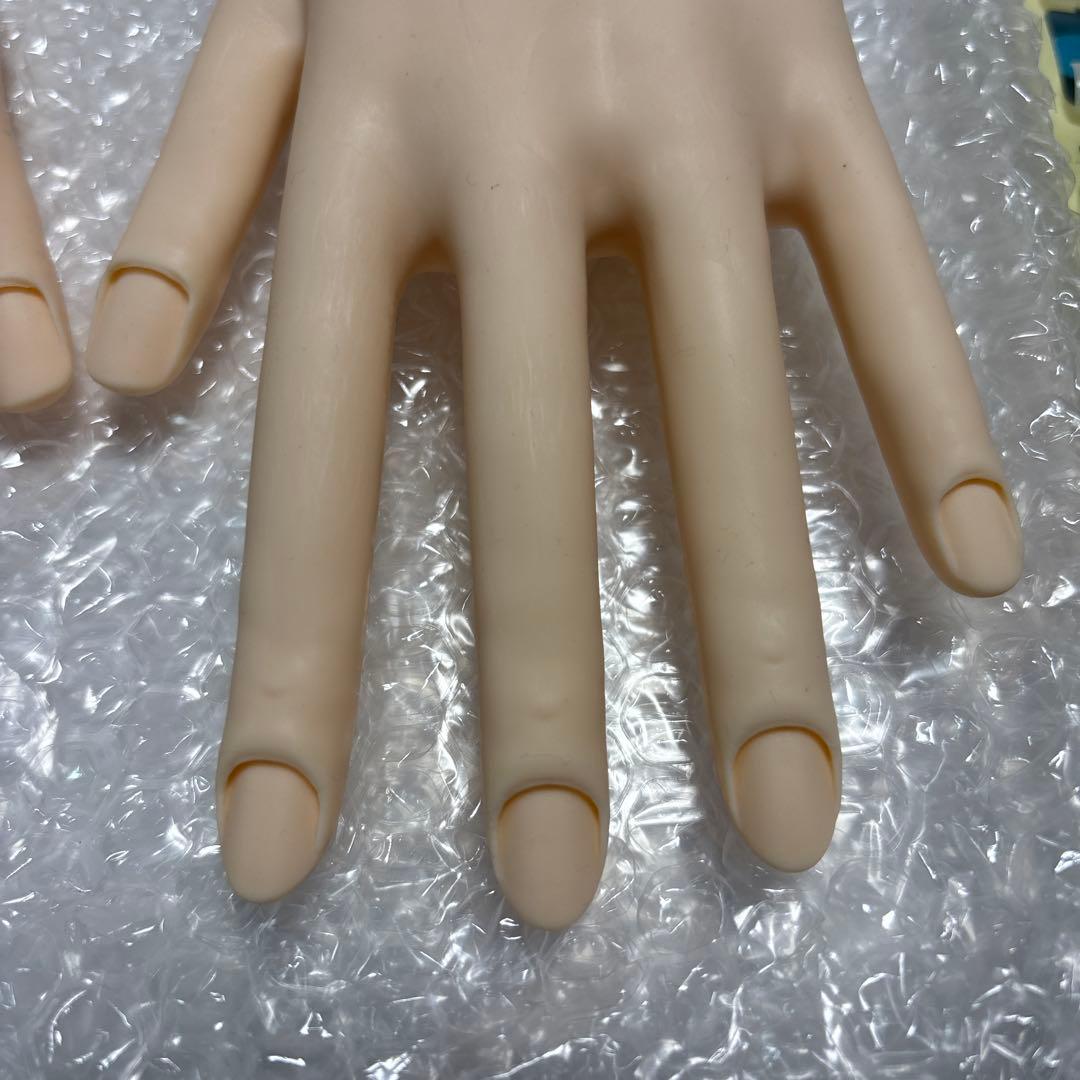 ネイリスト技能検定試験用 JNEC認定モデルハンド/チップセット/検定用シール