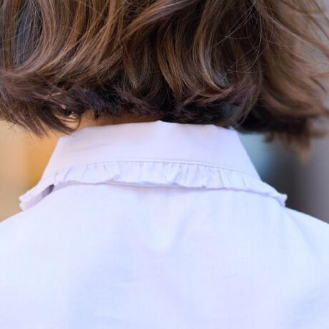 新品　ドレステリア