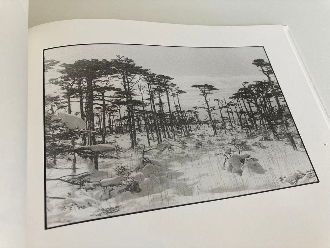 【初版】白石ちえこ / 鹿渡り 蒼穹舎