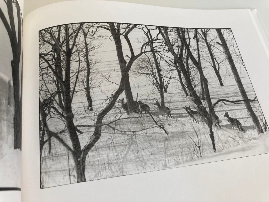 【初版】白石ちえこ / 鹿渡り 蒼穹舎