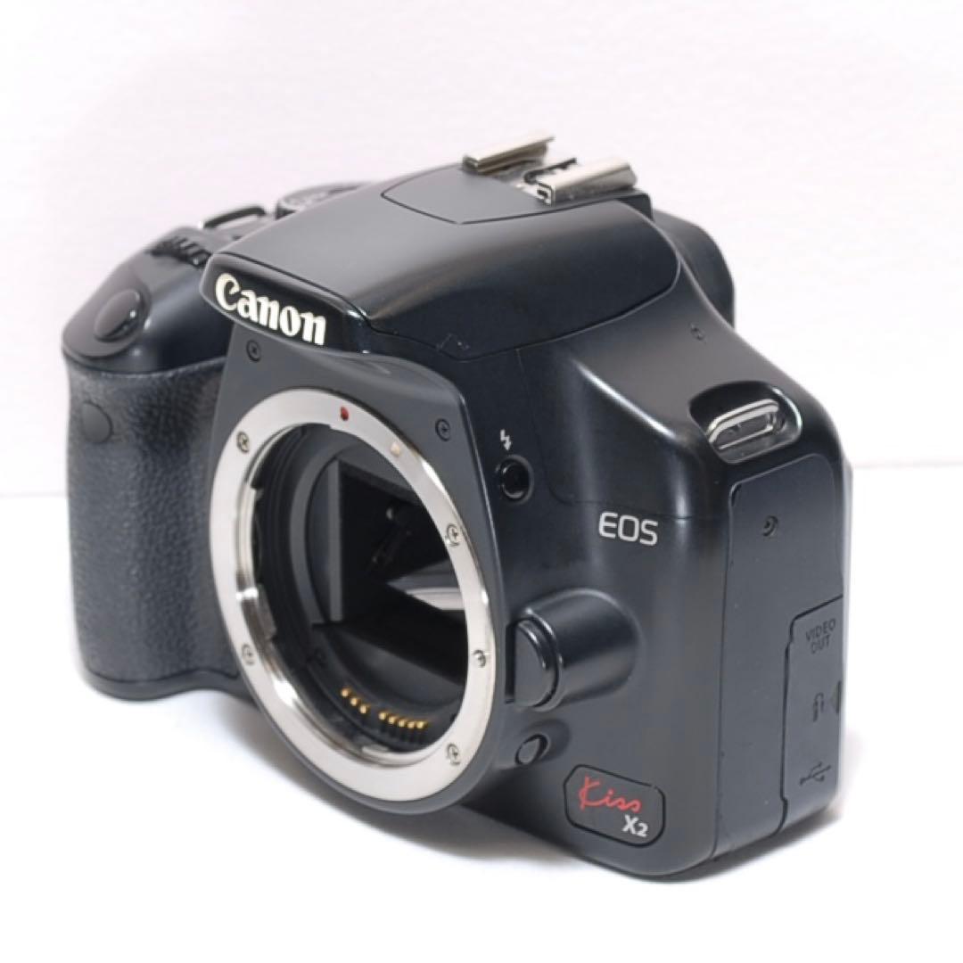 ✨超望遠レンズデビュー✨Canon Kiss X2✨ ダブルレンズ✨少シャッター