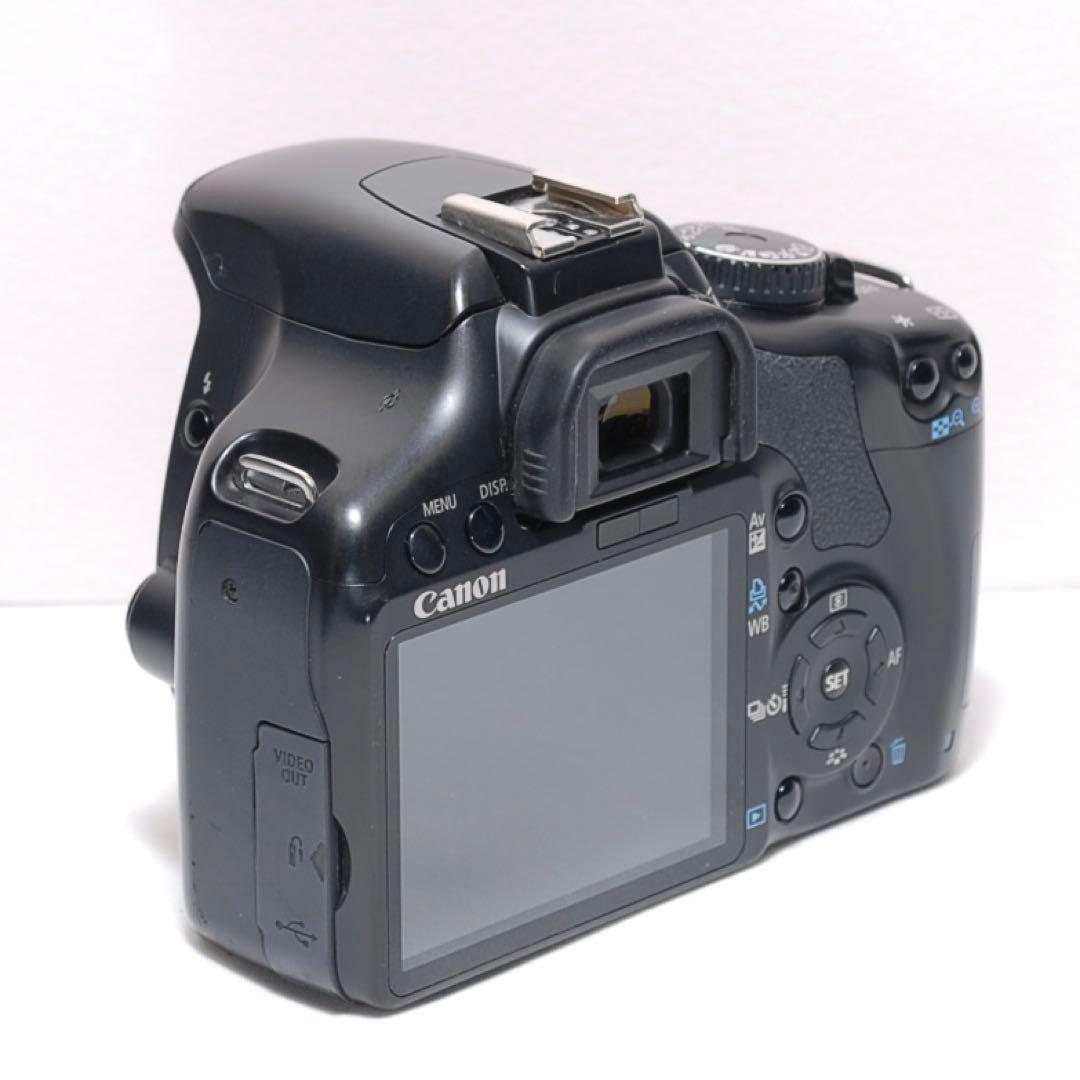 ✨超望遠レンズデビュー✨Canon Kiss X2✨ ダブルレンズ✨少シャッター