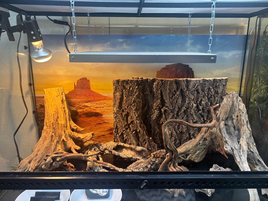 【使用僅か】グラステラリウム9060 爬虫類 飼育セット ライト 暖突 流木