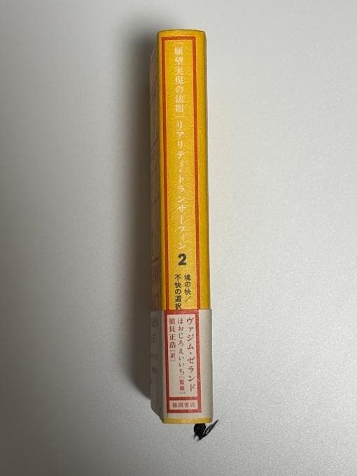 願望実現の法則 : リアリティ・トランサーフィン2 : 魂の快/不快の選択