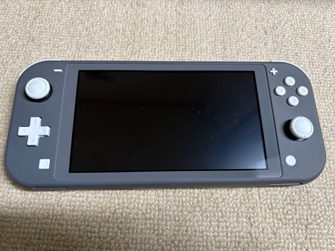 Nintendo Switch Lite本体 グレー ソフト付き