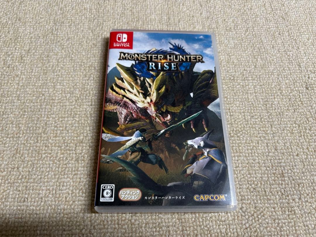 Nintendo Switch Lite本体 グレー ソフト付き