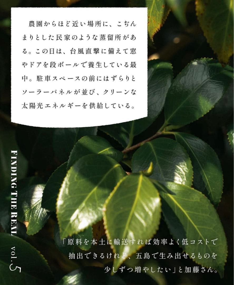 ON&DO3点セット❗️新品未開封⭐️大容量❗️エンリッチフェイスクリーム50g潤い