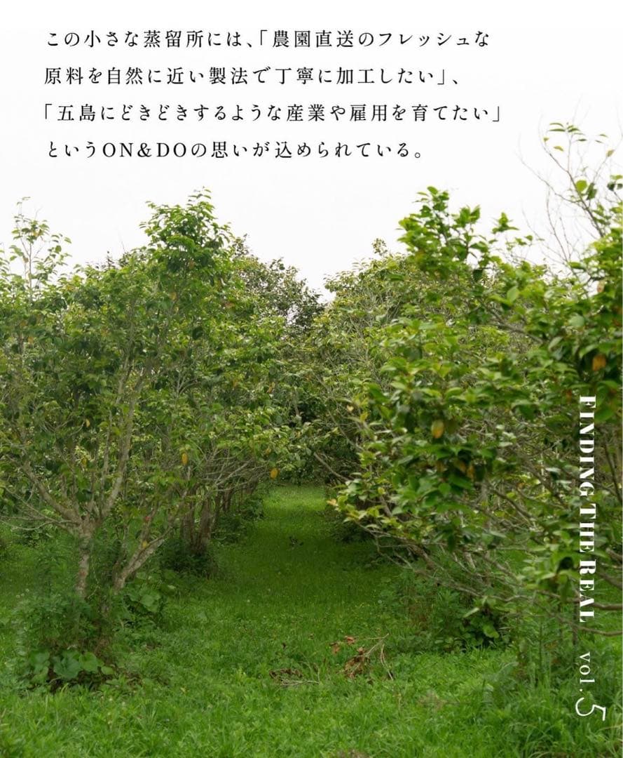 ON&DO3点セット❗️新品未開封⭐️大容量❗️エンリッチフェイスクリーム50g潤い