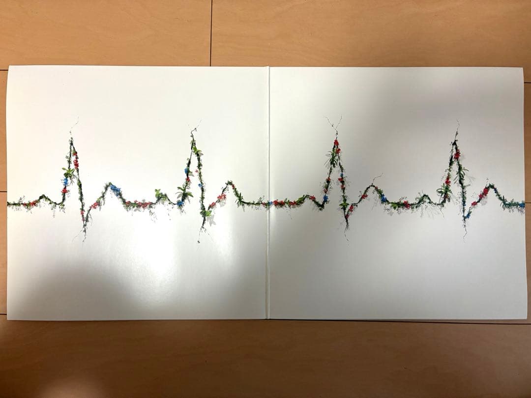 POP VIRUS レコード 星野源　重量盤 2枚組