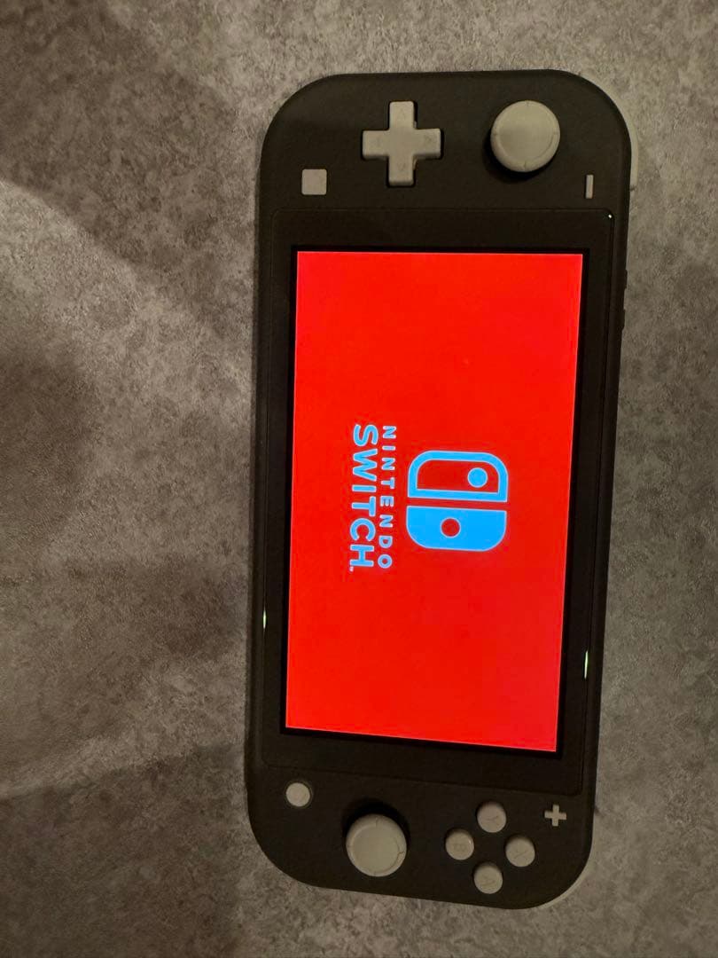 Nintendo Switch Lite グレー　本体　初期化、動作確認済み