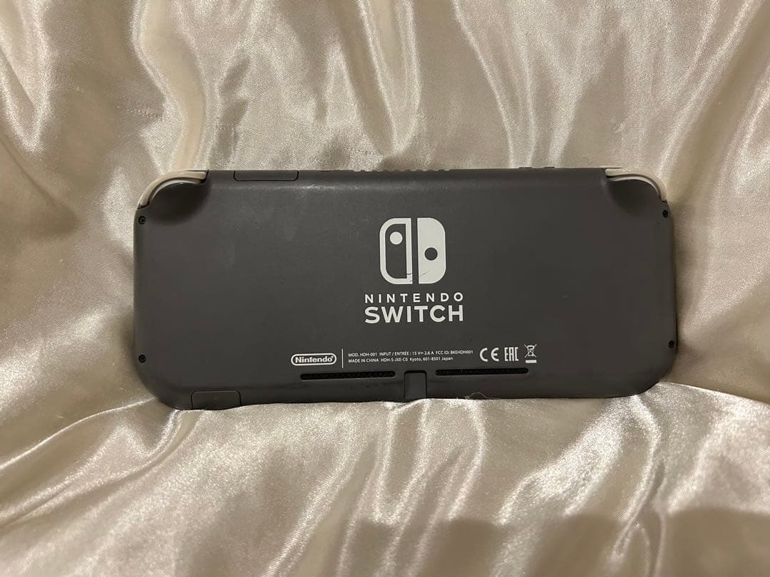 Nintendo Switch Lite 本体 ケース付き