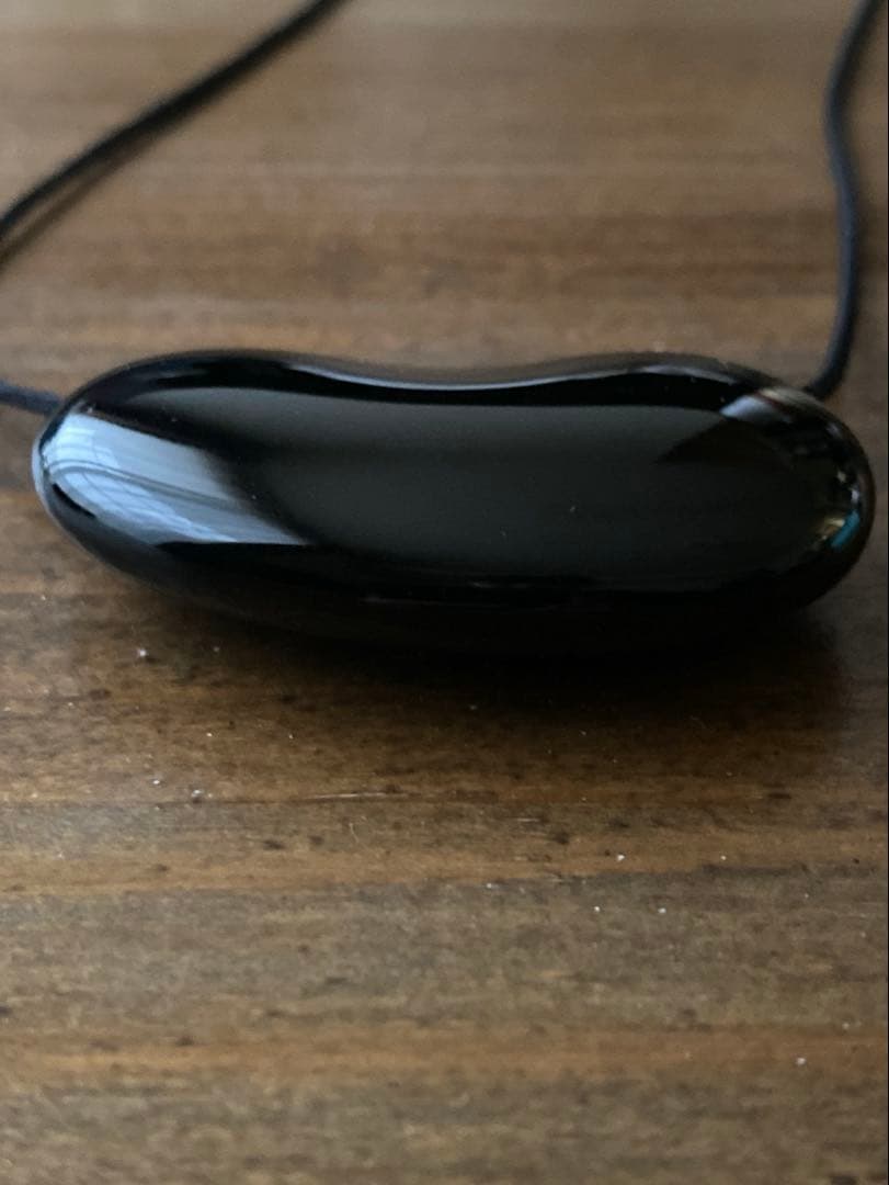 ☆廃盤品/極美品☆ Tiffany ティファニー ビーン ネックレス 黒漆堅木