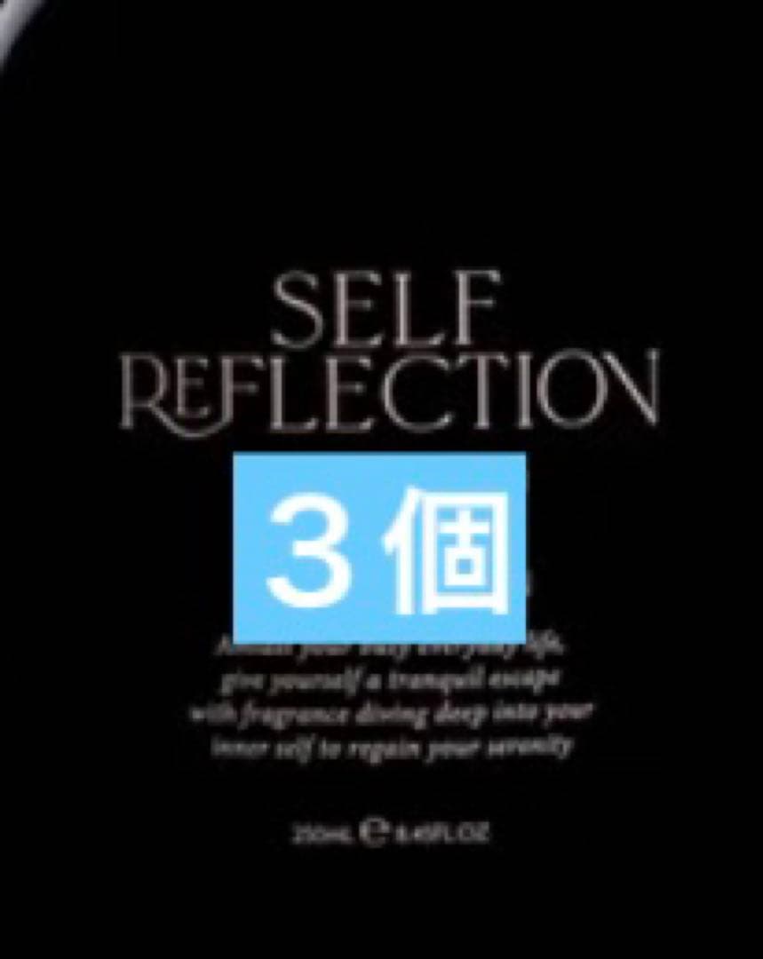 SELF REFLECTION ザハンドウォッシュ トワイライトガーデン