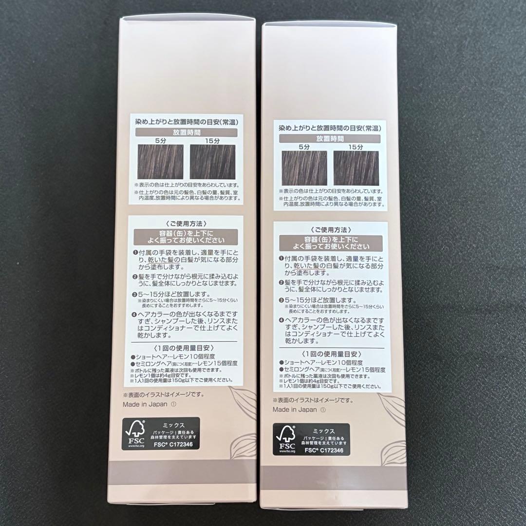 ヘアボーテ エクラ ボタニカル エアカラーフォーム ダークブラウン 2本セット