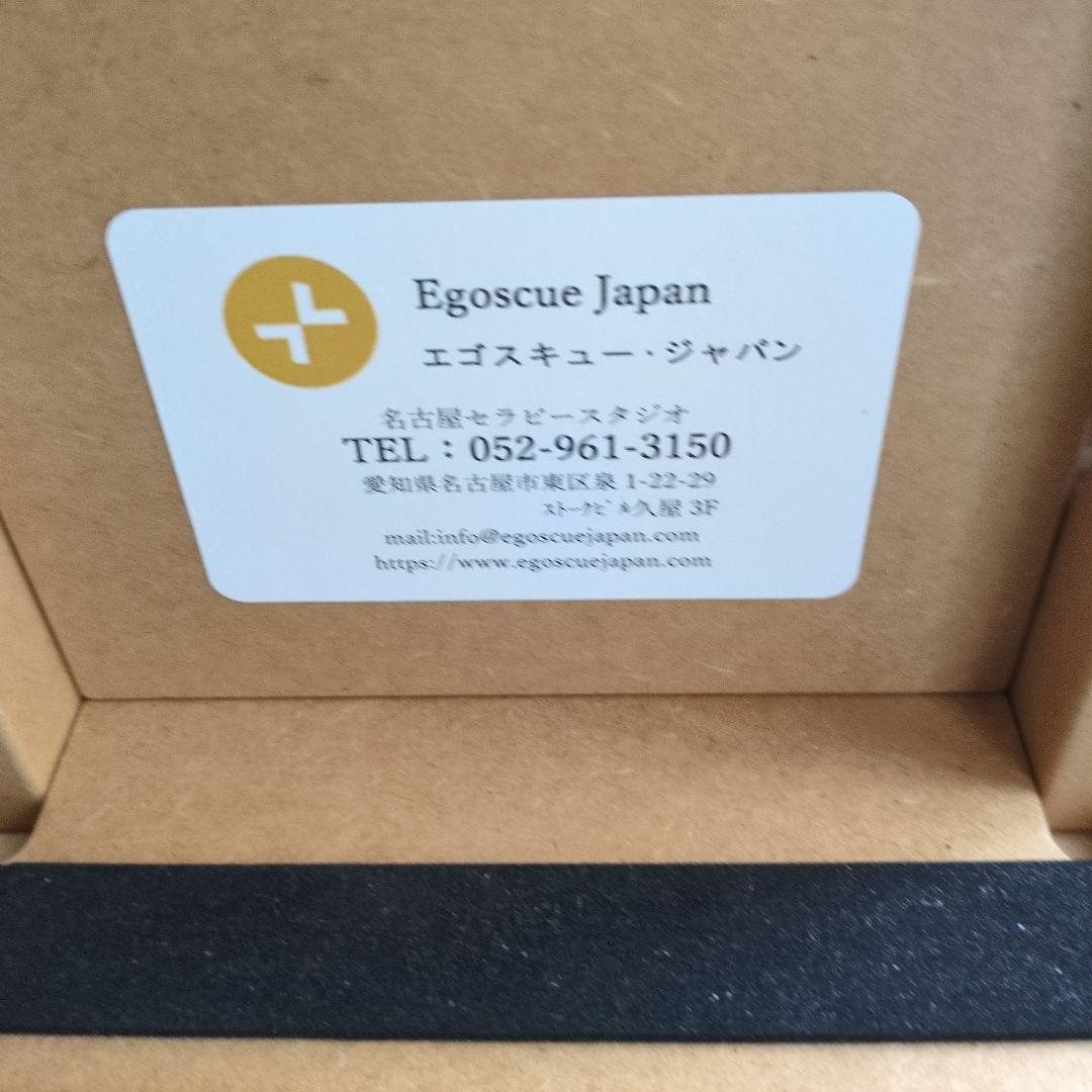 【12月末まで限定価格！】Egoscue Japan エゴスキュー タワー