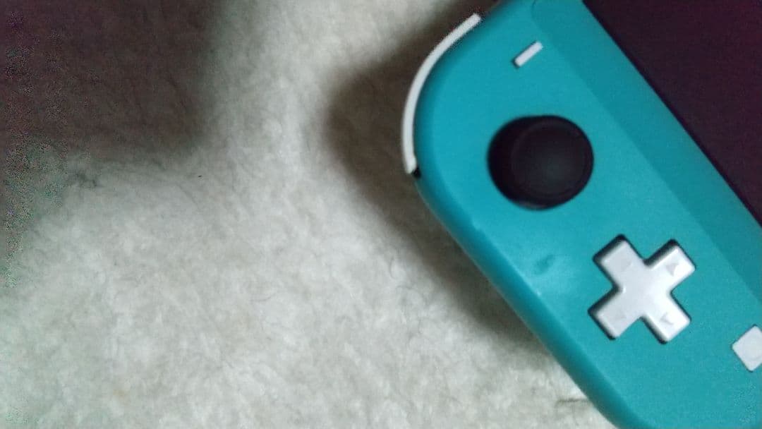 Nintendo Switch Lite ターコイズ 本体 動作品
