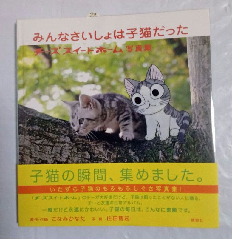 チーズスイートホーム　絵本　CD　7冊　写真集　シール