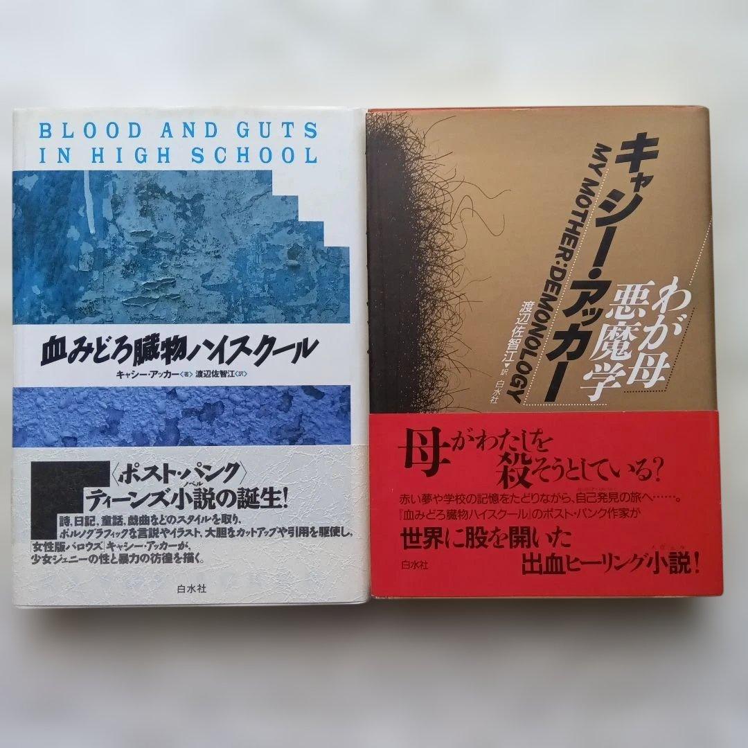 血みどろ臓物ハイスクール/わが母悪魔学 2冊セット　キャシー・アッカーまとめ売り