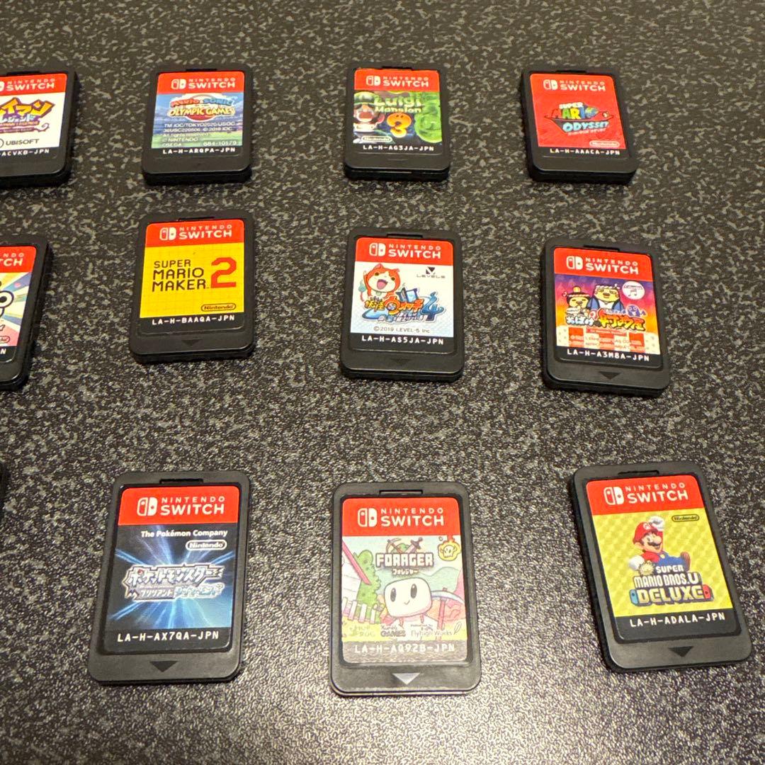 Switchソフト（64個入るソフトケース付）