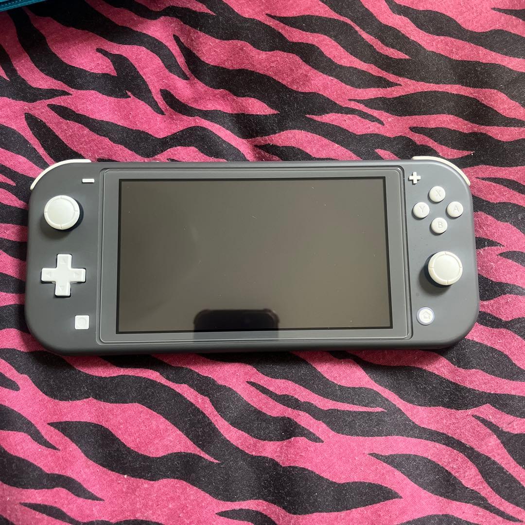 Switchライト グレー 純正充電器 ケース どうぶつの森付き 箱無し