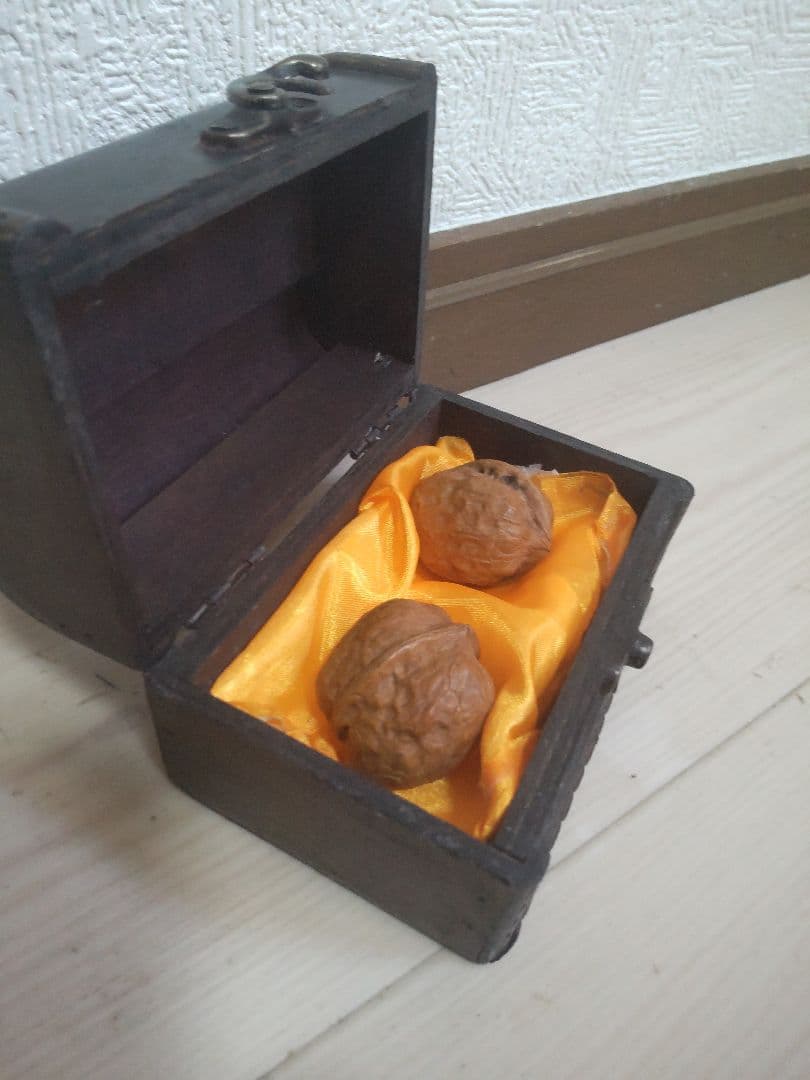 30年前からあるクルミ　専用ケース付