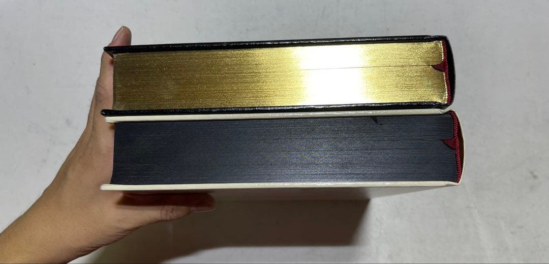 Dries Van Noten ドリスヴァンノッテン1-100　写真集　2冊組