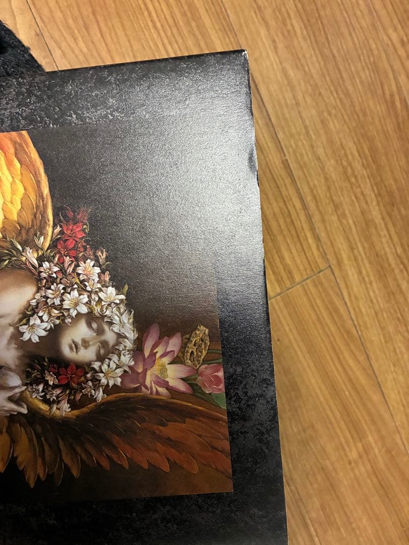 Santa Lilio Sangre緋いユリ : 小島文美画集