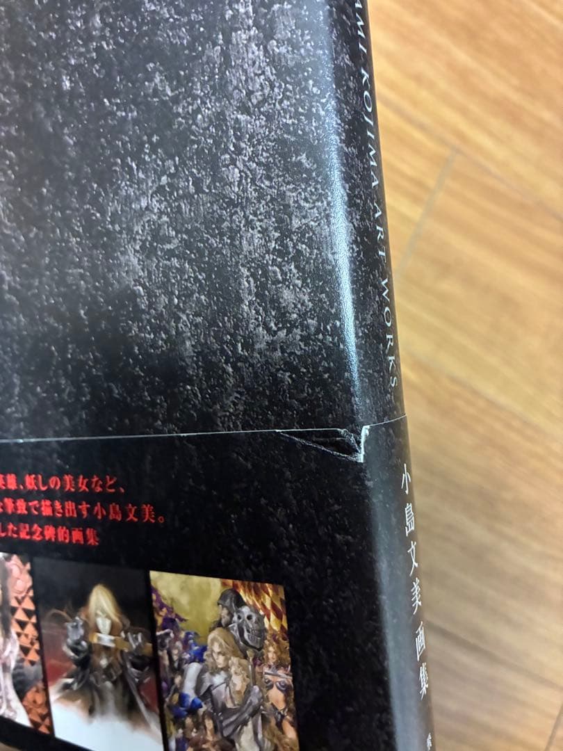 Santa Lilio Sangre緋いユリ : 小島文美画集