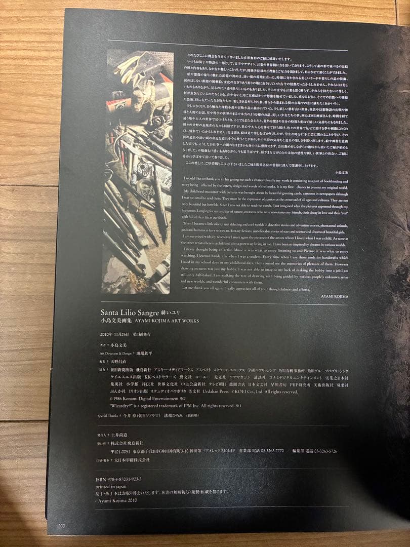 Santa Lilio Sangre緋いユリ : 小島文美画集