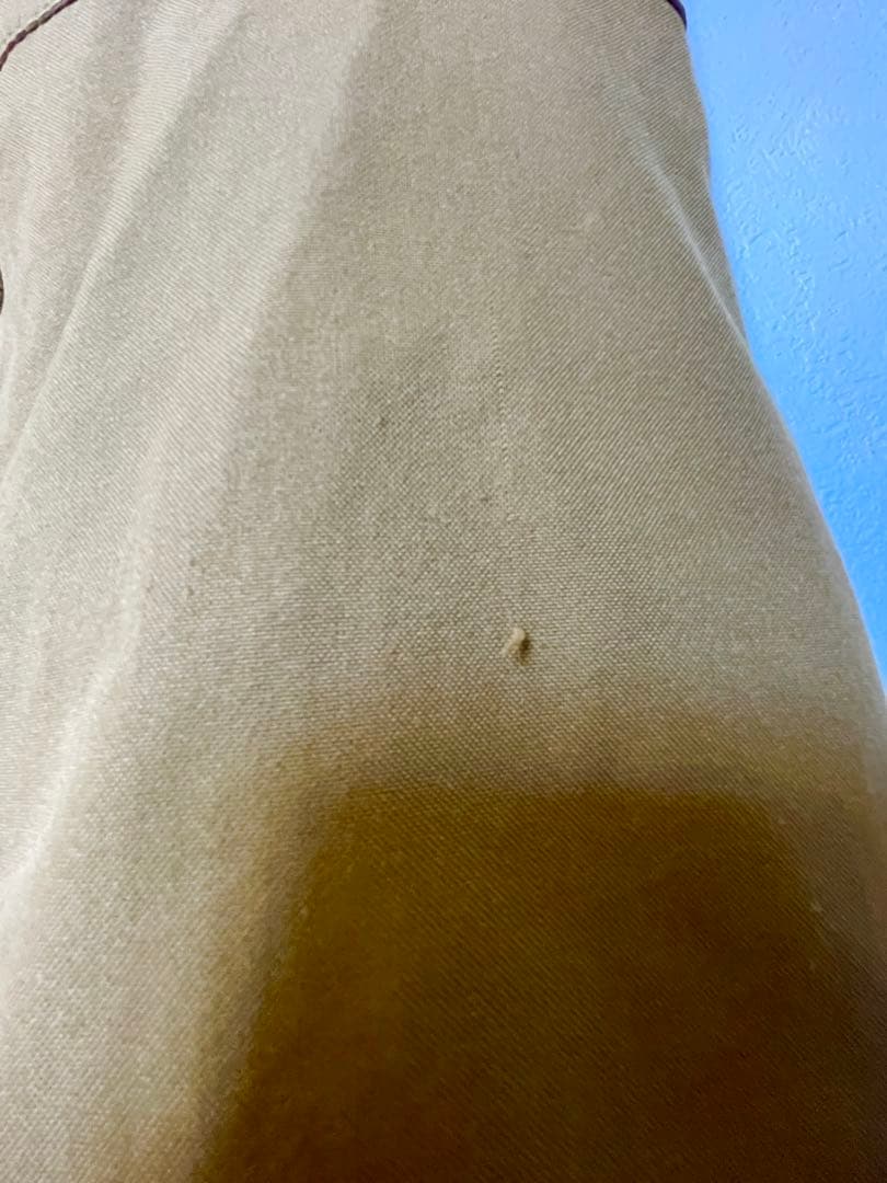 め*ん様 VOLCOM スノーボードウェア ベージュ オーバーオール ビブパンツ