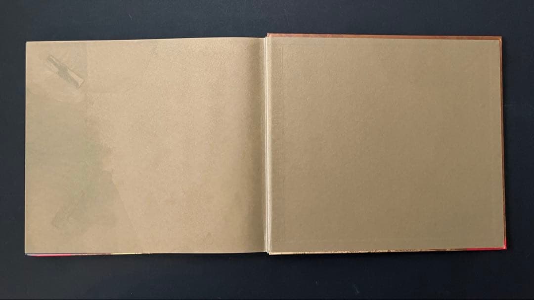 シャーロット・リバース著 「マキシマリズム：退廃と過剰のグラフィックデザイン」