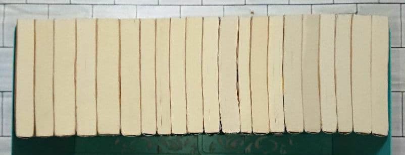 【まとめ】矢月秀作「もぐら」全巻 +「リンクス」全巻 +「D1」２１冊セット