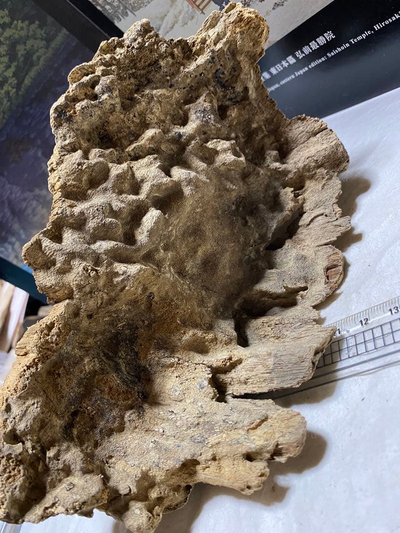 ベトナム産天然香木　希少良香馬蹄泥沈香162.7g 香道聞香用六国五味伽羅